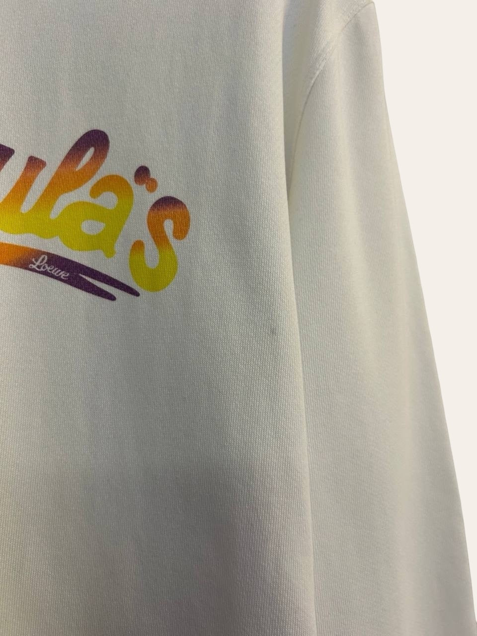 Loewe Paula Ibiza Sweatshirt, photo 3